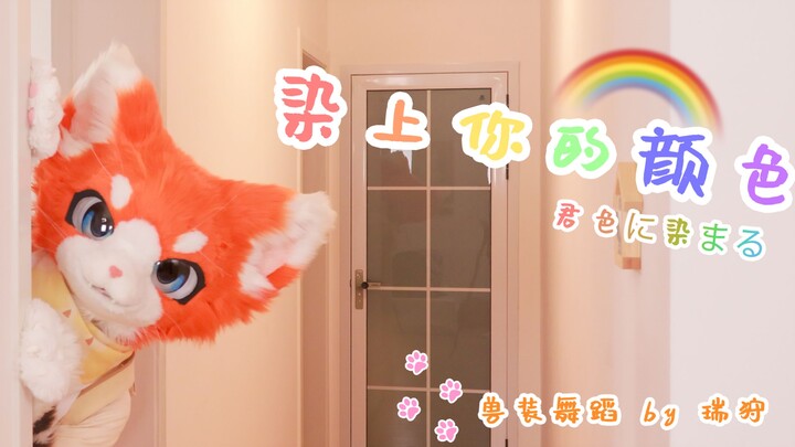 【兽装舞蹈】染上你的颜色 by 瑞狩|要一直可爱下去，让活泼的阳光色彩染遍世界！
