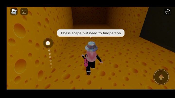 Roblox But My Goal To Find Person In Cheesse Scape (Roblox)