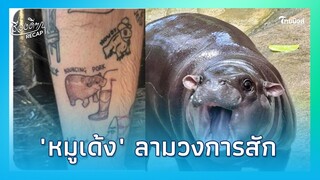 หนุ่มตัดสินใจสักรูป "หมูเด้ง" ก่อนคนดูแล เฉลยความจริง ที่พี่สัก มันคนละตัว|เรื่องดีๆRecap -22