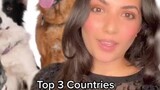Did any of these surprise you? LearnOnTikTok dogs dogsoftheworld foryou statista