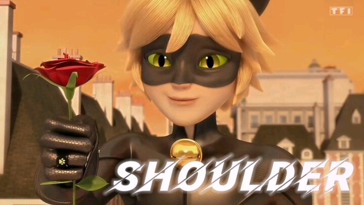 【Chat Noir】Handsome, cool and affectionate