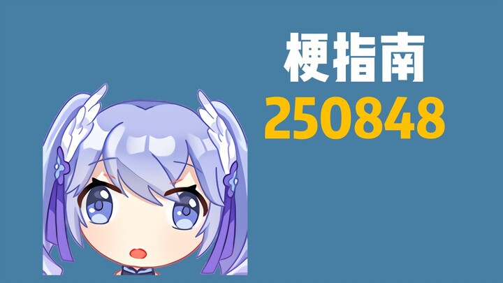 250848是什么梗？