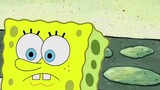 Khi SpongeBob nhìn thấy một con sao biển đang ăn trên TV