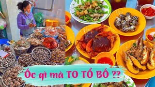 Đạo ốc nhất định phải ghé HÀNG ỐC PHAN VĂN KHỎE siêu tươi, ngon mà lại to tổ bố | Địa điểm ăn uống