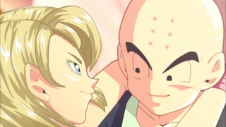 Krillin & Android 18 [Love Story]