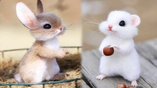 Cute baby animals Videos Compilation cute moment of the animals #12 Cutest Animals 2022