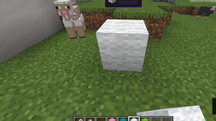 Minecraft: Con cừu trong mười năm! Len này là rất thật! Những con cừu lắc đầu khi nhìn thấy nó!
