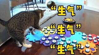 The person who shoveled poop was too blind, and the cat started to exhale in anger.