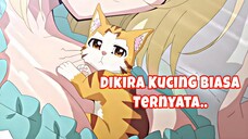 cuma jadi kucing tapi menang banyak 😍