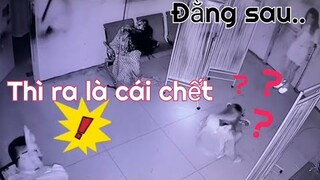 NPC Hù ma .Tổng Hợp Những Khoảnh Khắc Hài Hước 😆🔥🐷