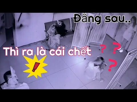 NPC Hù ma .Tổng Hợp Những Khoảnh Khắc Hài Hước 😆🔥🐷