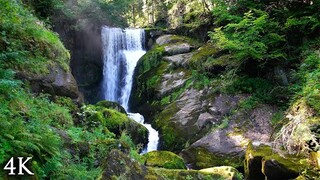 4K Nature Film: "Flow Of Life" 30 Minutes of Beautiful Scenery & Relaxing Music for Meditation