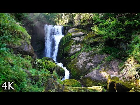 4K Nature Film: "Flow Of Life" 30 Minutes of Beautiful Scenery & Relaxing Music for Meditation