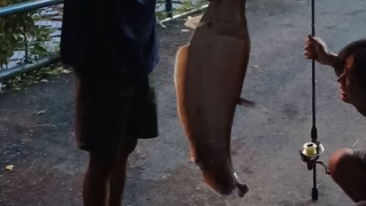 คลิป2