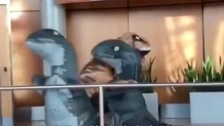 Two kids dressed up as dinosaurs to pick up their dad at the airport and everyone was stunned