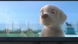 Pip _ A Short Animated Film by Southeastern Guide Dogs