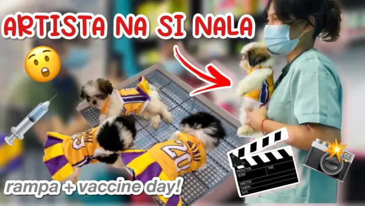 VET DAY NG MATCHAPUPS | PUPPIES UPDATE! | 5 in 1 VACCINE AND DEWORMING