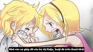 Sanji Có Haki Bá Vương Hay Không_ - Tiềm Năng Sức Mạnh Của Sanji p3