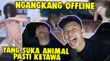 YANG SUKA ANIMAL PASTI KETAWA !! - NGANGKANG OFFLINE