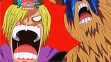 Ketika Luffy melawan Chopper, dia juga menambahkan Haki bersenjata di gigi 3, yang mana itu terlalu 