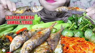 ASMR LALAPAN MENTAH IKAN ASIN NASI LIWET SAMBAL TERASI ULUL ASMR MUKBANG INDONESIA