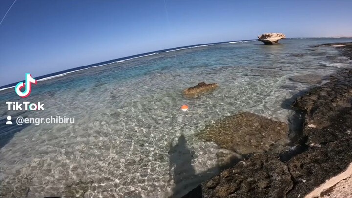 red sea fishing