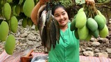 Yummy Green Mango with Catfish Recipe for food By village - Cooking Life