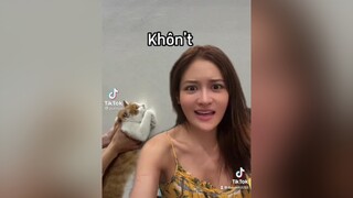 Nhà có 5 đứa mà ít đứa nào khôn 🤣 cat#mèo#quàngthượng