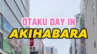 Come spend an OTAKU DAY in AKIHABARA with me!!🇯🇵 #akihabara #japan #tokyo #ani