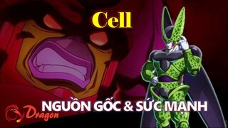 [Hồ sơ nhân vật]. Cell - Nguồn gốc và sức mạnh #Anime