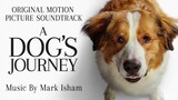 Watch A Dog's Journey Full HD Movie For Free. Link In Description.it's 100% Safe