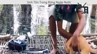 Sinh tồn trong rừng ngập nước p5