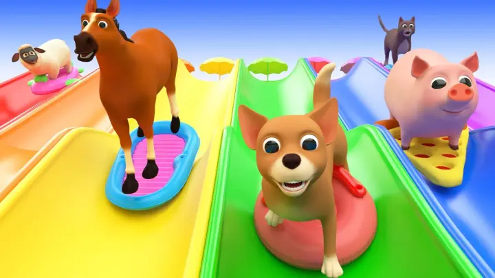 Animals for Kids and Toddlers SLIDDING INTO THE WATER, Funny Animals Videos for Kids and Songs