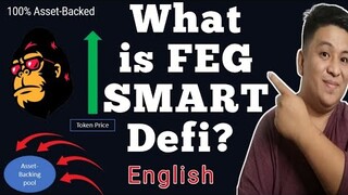 What is Feg Smart Defi ?