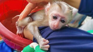 Keep Hygiene!! Tiny adorable Luca keeps so silent when cleans up a diaper