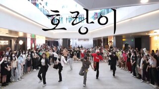 [Kwon Soon-young] Fraksi Harimau menyerang! Penuh kegilaan! ! Tarian Acak Harimau | Bernyanyi dan Be