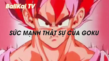 Dragon Ball Kai (Short Ep 33) - Sức mạnh thật sự của Goku (Tiếp) #dragonballkai