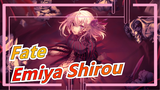 [Fate] Apa kau akan berkhianat, Emiya Shirou?