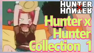 Hunter x Hunter Collection 1