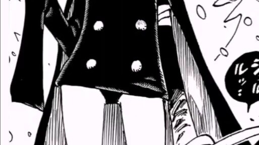 They are all Celestial Dragons' divine riders, why do they wear such high-end clothes? [One Piece]