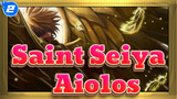 [Saint Seiya] Aiolos- Guard Goddess Wings_2