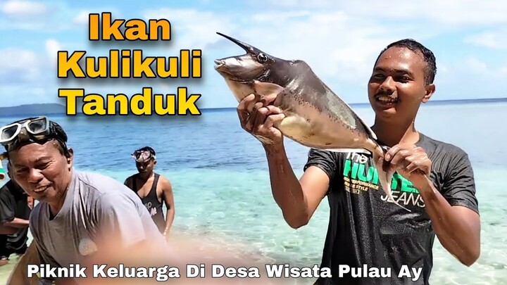 Hasil Jaring Dapat Ikan Kulikuli Tanduk || Piknik Keluarga Desa Wisata Pulau Ay