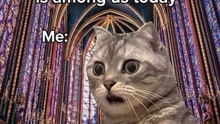 Firstime go to church reaction