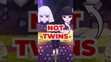 The Ubuyashiki Twins AREN’T Actually Twins | Demon Slayer Databook Explained