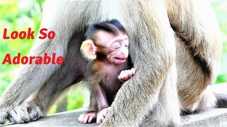 Cutie Baby Juventus Looks Scared and Tries Staying Closely With Mother Joanna