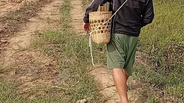 ไปสวนกันครับ
