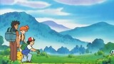 the flame pokemon-athon