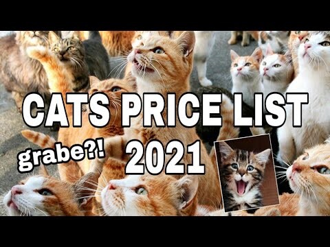 CATS PRICE LIST | PRESYO NG LAHI NG MGA PUSA | UPDATED PRICE LIST 2021