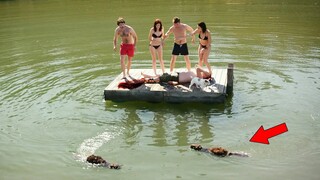 Mutant Beavers Become Deadly, Turning The Friends’ Weekend to Nightmare!