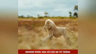 Mia và con sư tử trắng p3 #review